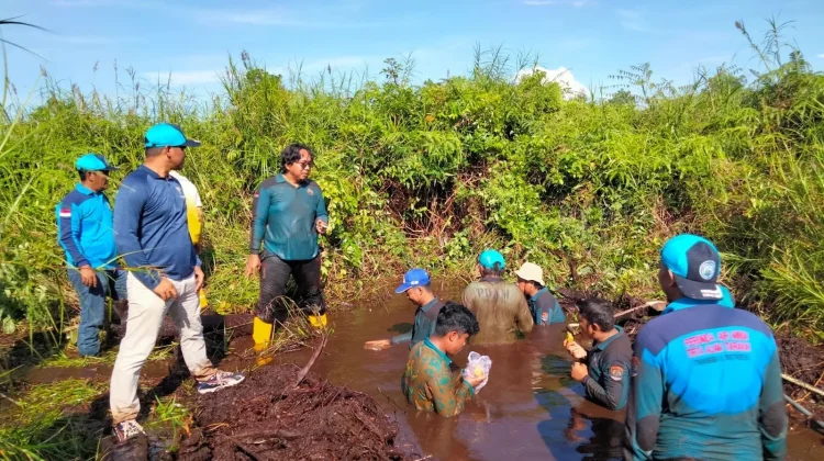 Halo RRI: Respons Chat Warga, PDAM Jamin Air Aman