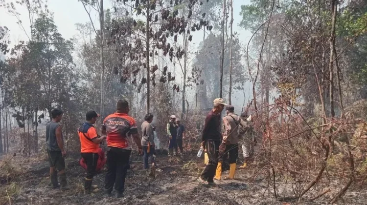Kualitas Udara Masih Sedang, DLH Tarakan Imbau Warga Pakai Masker