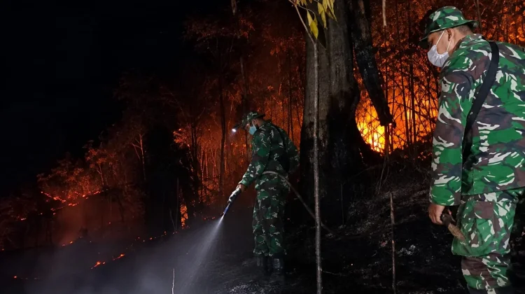 Kebakaran Lahan Ancam Permukiman, Kodim Turun Tangan
