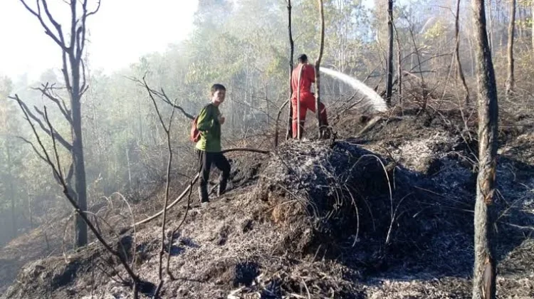 Pemukiman Warga di Tarakan Aman dari Karhutla