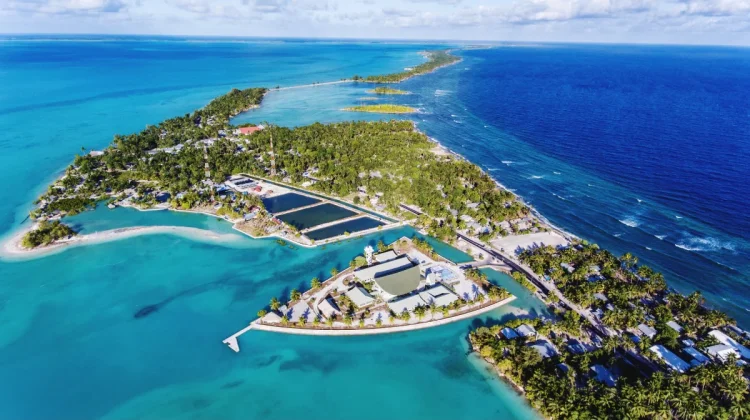 Kiribati : Negara yang Berada Dekat Garis Pergantian Hari