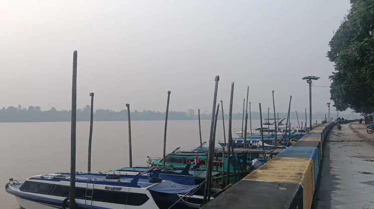 Kualitas Udara Tanjung Selor tidak Sehat, Warga Diminta Waspada