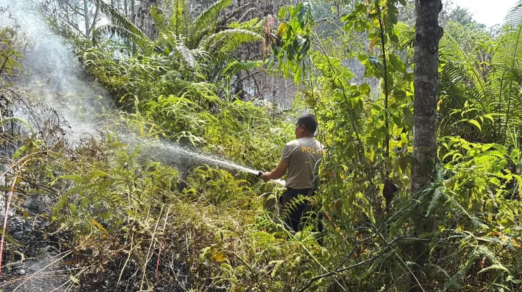 Kabut Asap Kepung Bulungan, Polresta Selidiki Kasus Karhutla