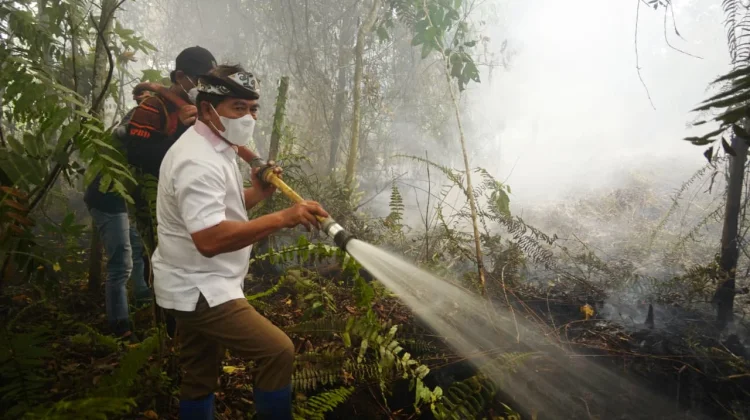 Terjun Langsung, Gubernur Ikut Padamkan Karhutla di Selimau