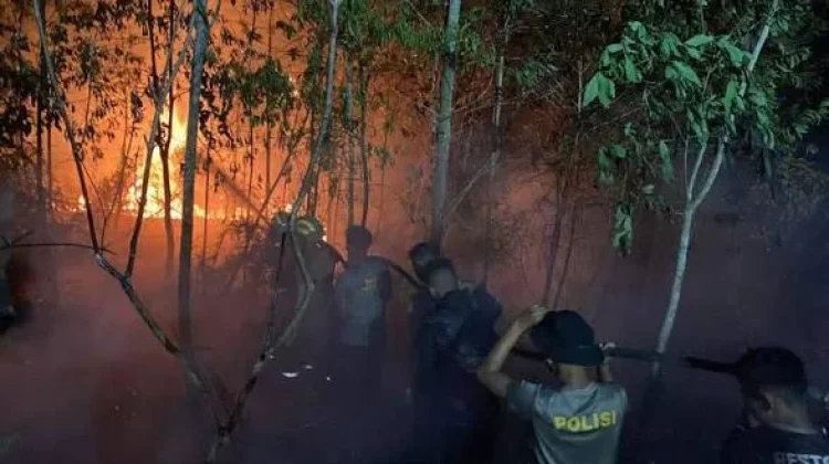 Karhutla di Kaltara Capai 400,62 Hektare