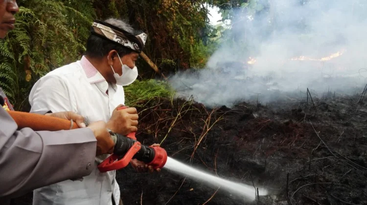 Kewaspadaan Diperketat, Karhutla Kaltara Terendah di Kalimantan