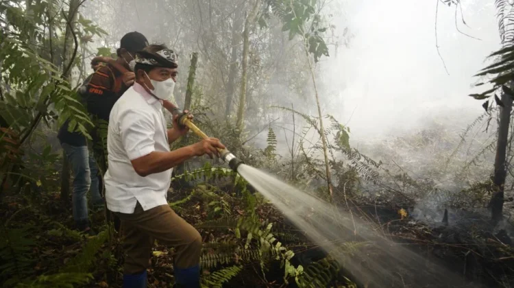 Wilayah Karhutla di Kaltara Capai 2.639 Hektare