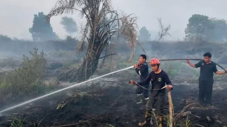 Minimalisir Karhutla Melalui Gerakan MPA dan Bangun Sekat Bakar
