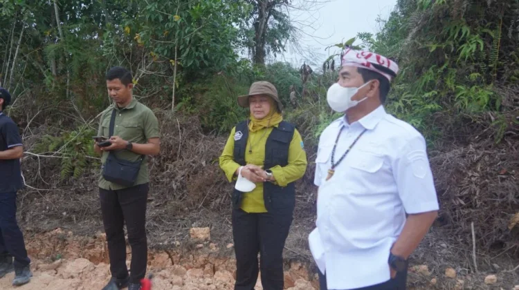 Gubernur Tinjau Penanganan Karhutla di KM 12 Desa Gunung Sari