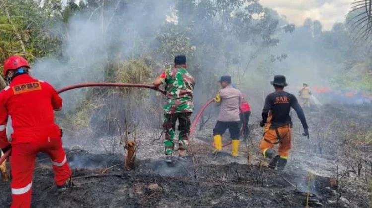 Panas Berkepanjangan, Waspada Titik Hotspot Baru