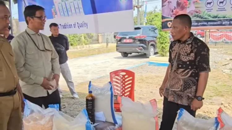 Bulungan Masih Bergantung Pasokan Ayam dari Luar Daerah