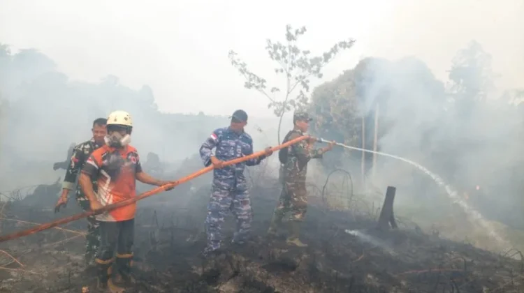 Lahan Terbakar Capai 80 Hektare, Petani Diimbau Buat Tampungan Air Mandiri