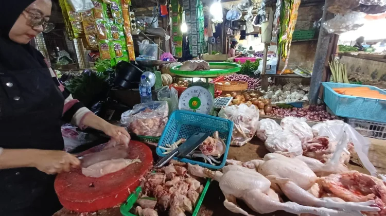 Sepi Pembeli, Harga Ayam dan Bawang Turun