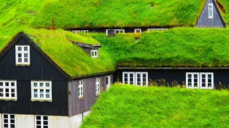 Rumah dengan Atap Rumput Punya Keunikan