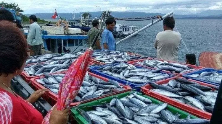 Tren Positif Perekonomian Tarakan, Didominasi Sektor Perikanan