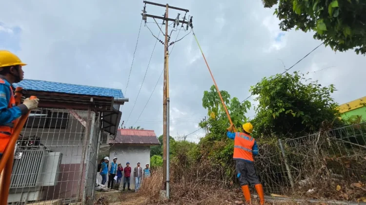 PLTS Sebatik 150 kWp Beroperasi, PLN Perluas Energi Bersih hingga Tapal Batas