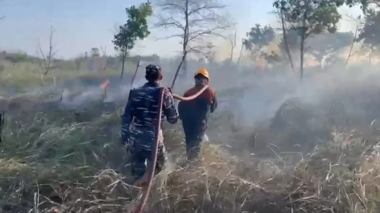 Minim Curah Hujan, Delapan Hektare Lahan di Tarakan Terbakar dan Ancam Pemukiman