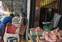 Harga Daging Ayam Potong Mulai Merangkak Naik