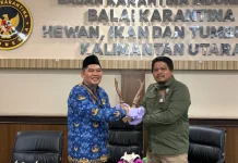 Karantina Serahkan 38 Pasang Tanduk Rusa ke BKSDA
