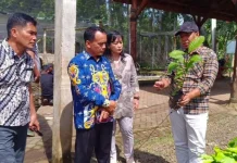 Belajar ke Jember, Bulungan Perkuat Perkebunan Kopi-Kakao