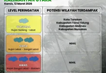 Waspada Hujan dan Angin Kencang di Tarakan, Malinau dan Tana Tidung Esok Hari!