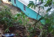 Cuaca Ekstrem Tarakan, Sebabkan Longsor dan Pohon Tumbang