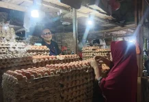 Harga Telur Ayam Meroket jelang Idulfitri