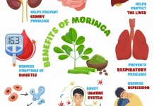 Daun Kelor, Super Food yang Kerap Diremehkan