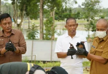46 Burung Dilepasliarkan, Bupati Bulungan Tegaskan Stop Perburuan Liar