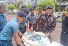 Penyelundupan Ballpress Terungkap Kodaeral XIII, Pemilik dalam Pengejaran