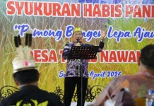 Panen Raya Desa Teras Nawang, Bukti Ketahanan Pangan Kaltara