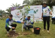 Kesadaran Masyarakat Tarakan Jaga Tegakan Pohon Meningkat