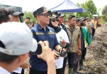 Dukung Swasembada Pangan, Ibnu Saud Pimpin Tanam Padi Pakai Drone di Juata Laut
