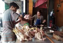 Pelaku Usaha Pastikan Daging Ayam Potong Bebas Flu Burung