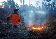 Brigdal Karhutla Berhasil Tangani 7 Kebakaran Lahan