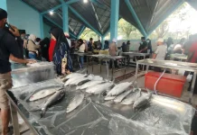 Pemprov Kaltara Hadirkan Pasar Ikan Higienis