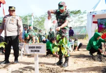 Eks Tambang Disulap Jadi Hijau, TNI Tanam Ribuan Pohon di Tengkapak