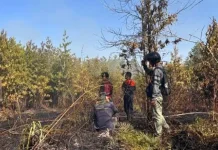 Malinau Jadi Daerah Rawan Karhutla