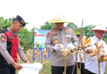 Kapolda Kaltara Pimpin Panen Raya Jagung Serentak di Tarakan