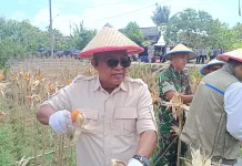 DPRD Tarakan Apresiasi Panen Jagung Kuartal II Kepolisian