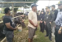 Pemkot Sidak Hewan Kurban, Pastikan Bebas PMK dan Legal