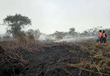 BMKG Pantau Adanya Titik Panas di Kaltara