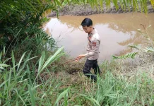 Motor dan Joran Tinggal di Tepi Parit, Petani Diduga Jadi Mangsa Buaya saat Mancing