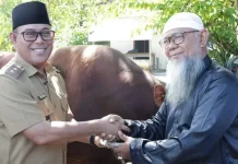 Pemkot Salurkan 8 Sapi, 1 Ekor Bantuan Presiden