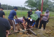 Perkuat Kepedulian Sosial, Polresta Bulungan Kurban 5 Sapi