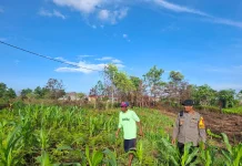 Personel Polres Tarakan Laksanakan Patroli Dialogis Dukung Ketahanan Pangan