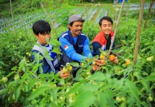 Pertamina Patra Niaga Kalimantan Raih Pengakuan Global di Bangkok