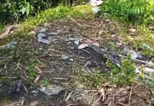Gerebek Dua Lokasi, Tim Gabungan Amankan Sabu 23,8 Gram