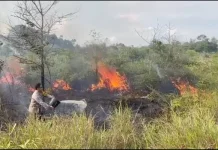 Memasuki Musim Kemarau, Warga Bekasi Diingatkan Tidak Buang Sampah Sembarangan