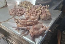 Pembeli Sepi, Harga Ayam Stabil di Tarakan